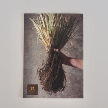 画像をギャラリービューアに読み込む, ナチュハート(レモングラス) 消臭スプレー NEW!